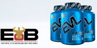 Evl Test review