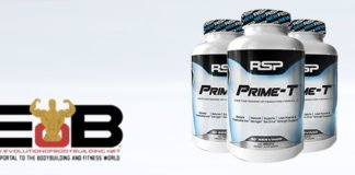 REVIEW: RSP Prime T PRODUCT REVIEW: RSP Prime T