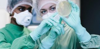 How to Get Rid of Parasites Naturally and Safely parasites naturally safely
