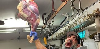 Guy Cisternino answers his vegan and vegetarian critics guy cisternino vegan vegetarian