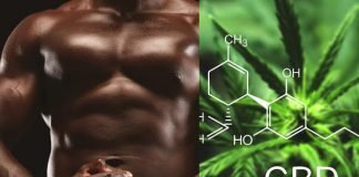 CBD and Bodybuilding CBD bodybuilding