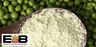 Vegan Protein For Bodybuilding – Why It Makes Sense