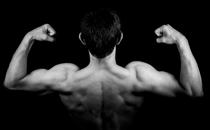 Essential Nutrients Building Muscle