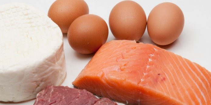 protein food Health Watch Protein need
