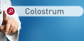 5 Benefits of Colostrum Supplements 5 Benefits Colostrum Supplements