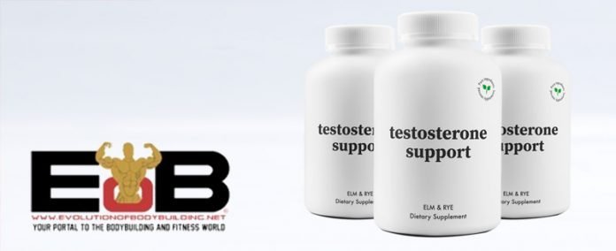 Elm & Rye Testosterone Support Review Elm Rye Testosterone Review