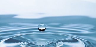 Reasons Why Water is Essential for Weight Loss