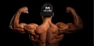 Everything Know Before Bodybuilding