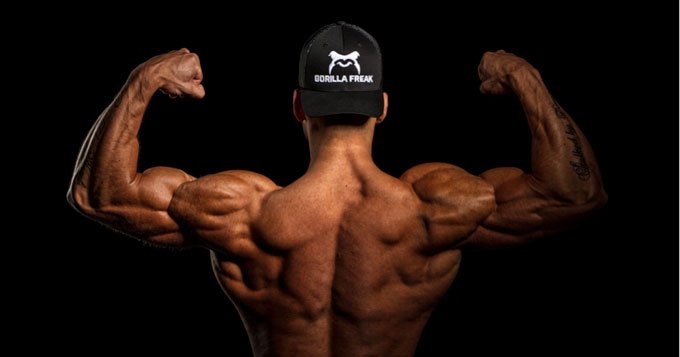 everything-you-need-to-know-bodybuilding Everything Know Before Bodybuilding