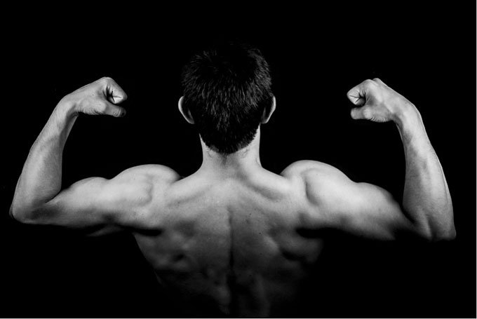 test-main How Supplements Muscle Gain