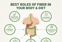 Digest Well, Feel Light: Be Well Organic Fiber and Plant-Based Supplements for Everyday Balance Best roles of fiber in your body and diet